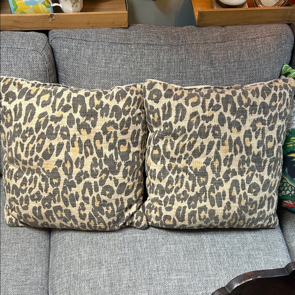 Leopard Pattern Accent Pillows